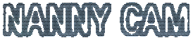 Nanny Cam